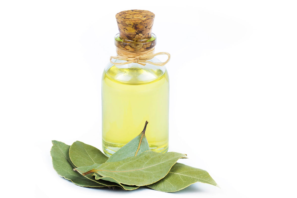 EssentialOils-LaurelOil3