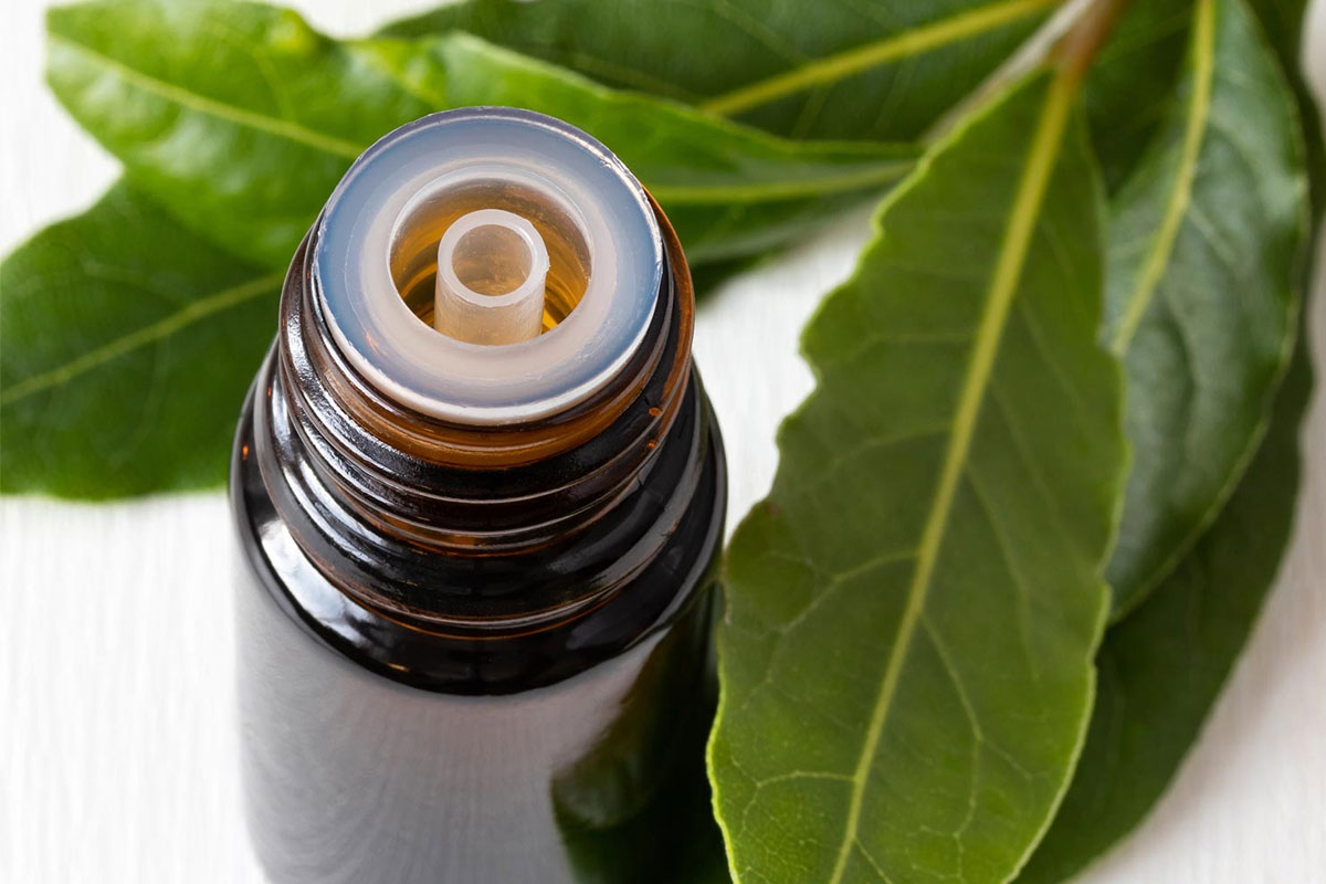 EssentialOils-LaurelOil4