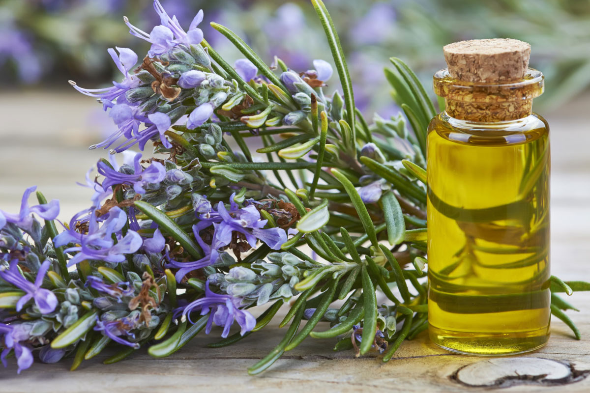EssentialOils-RosemaryOil1