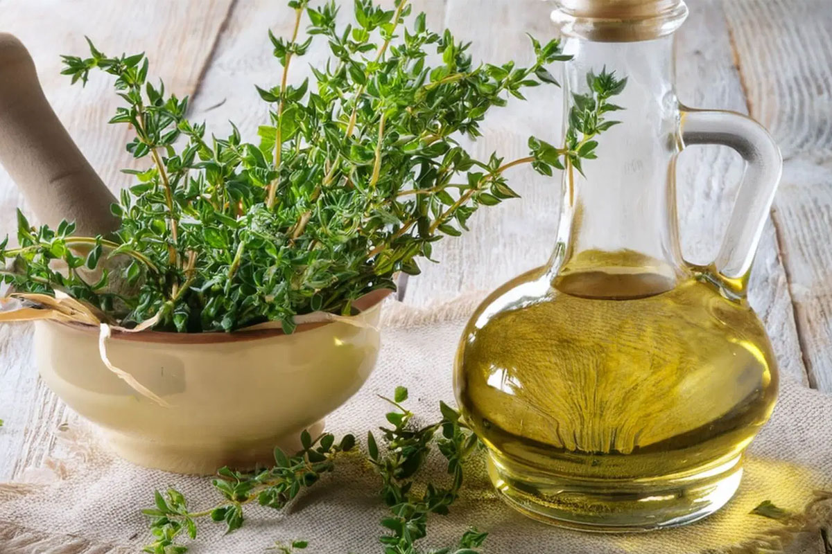 EssentialOils-ThymeOil4