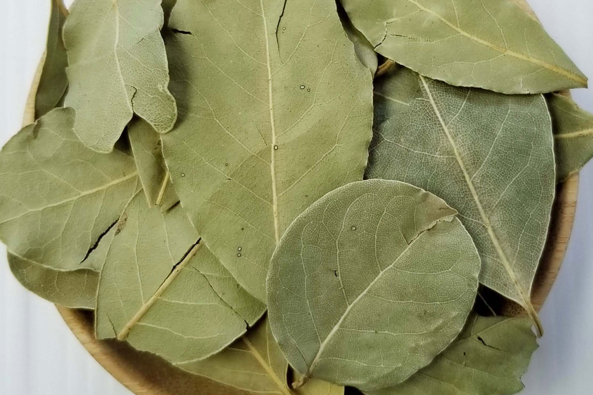 LaurelLeaves-HPS4