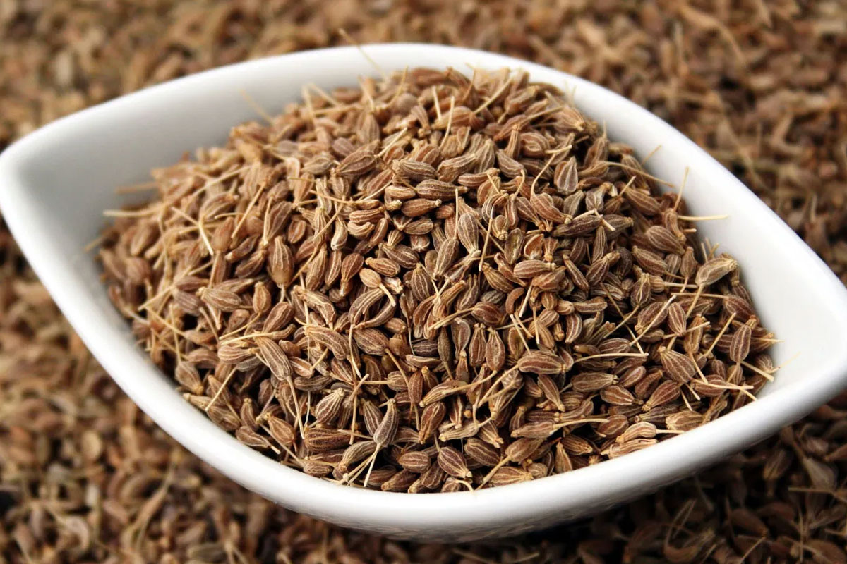 Seeds-AniseSeeds2
