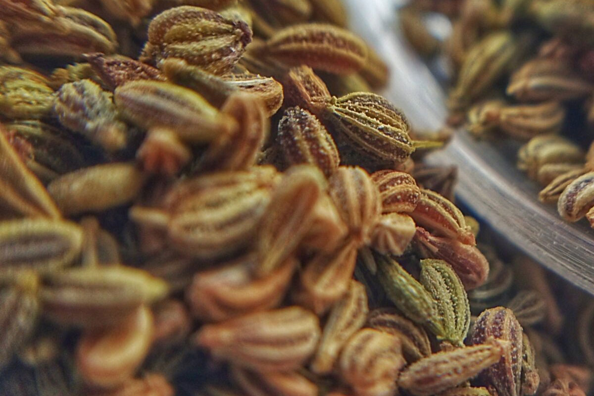 Seeds-AniseSeeds3