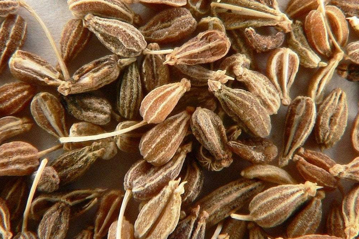 Seeds-AniseSeeds4