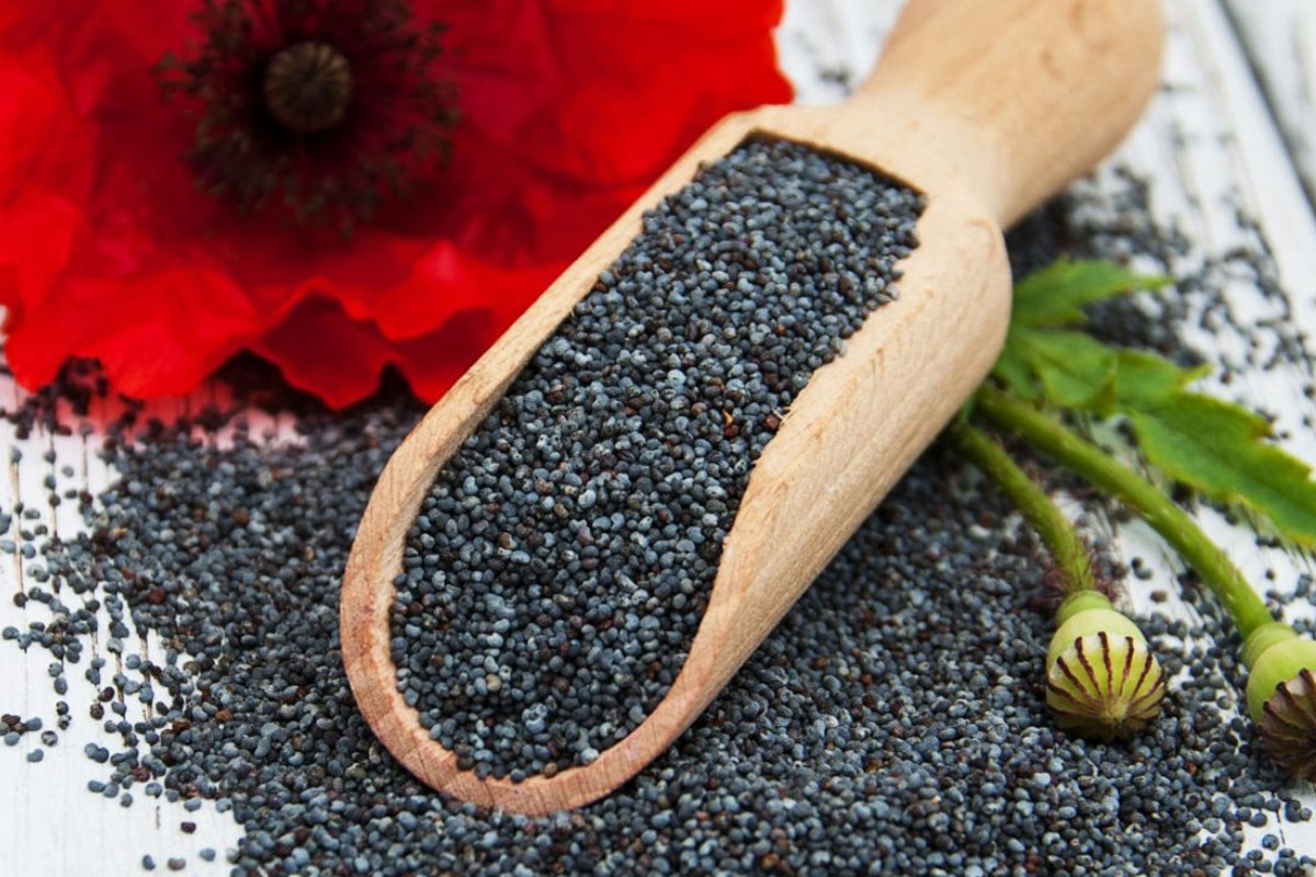 Seeds-BluePoppySeeds2