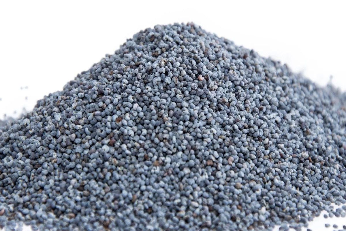 Seeds-BluePoppySeeds3