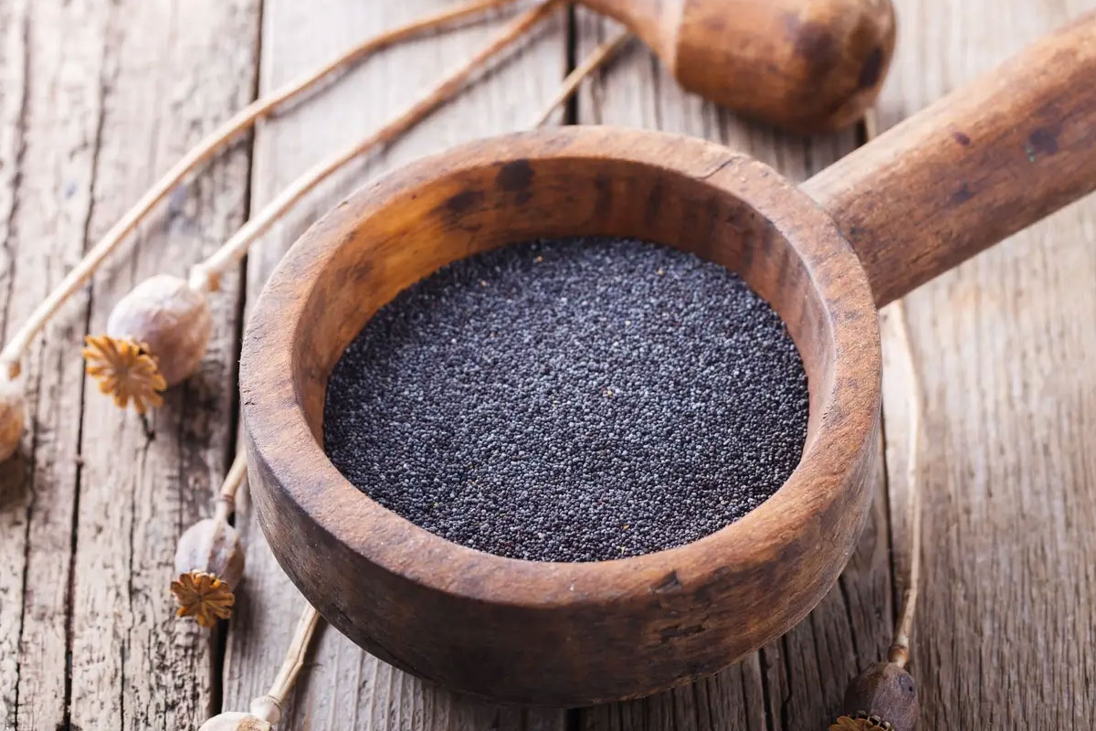 Seeds-BluePoppySeeds4