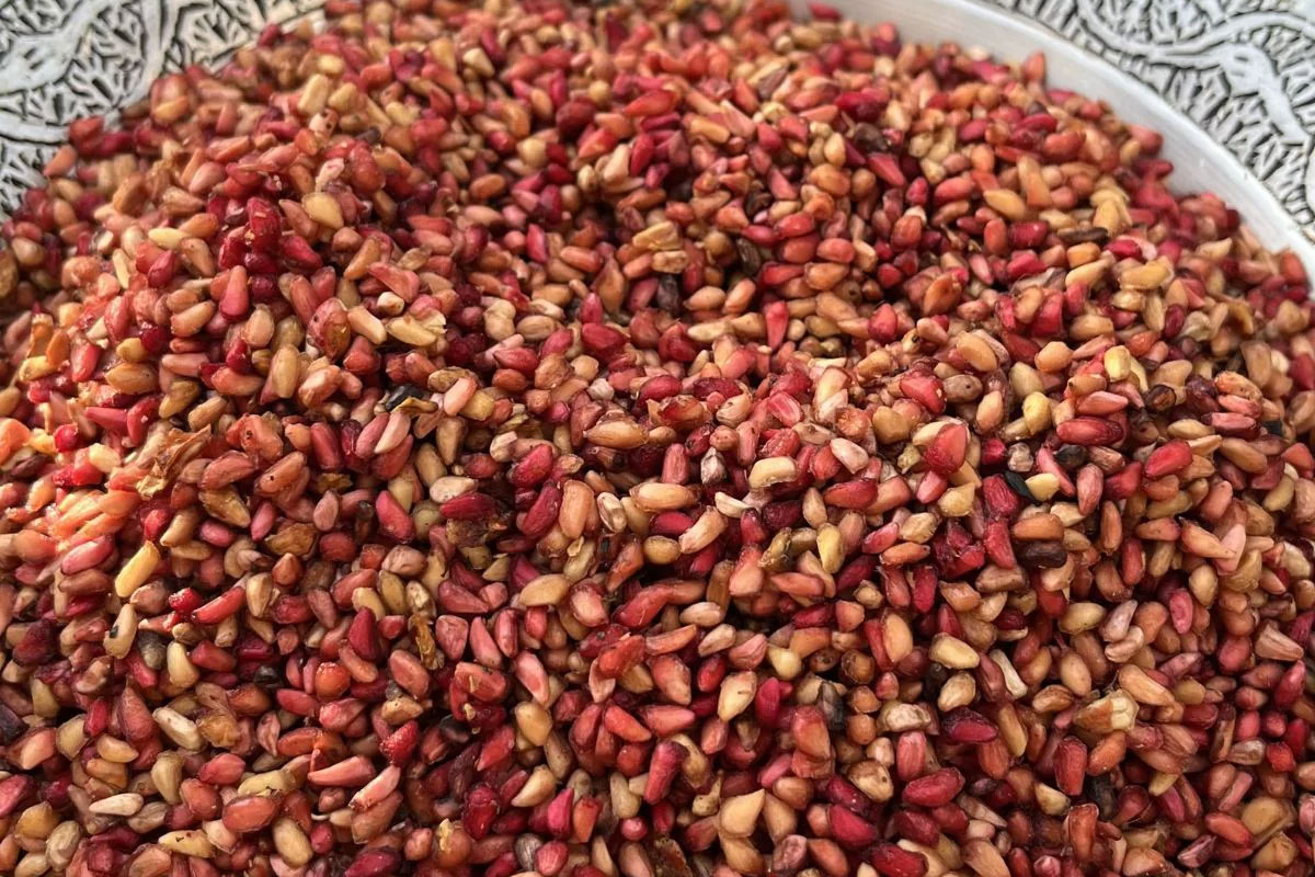 Seeds-PomegranateSeeds3
