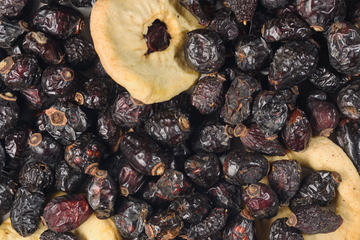 Seeds-RosehipSeeds1