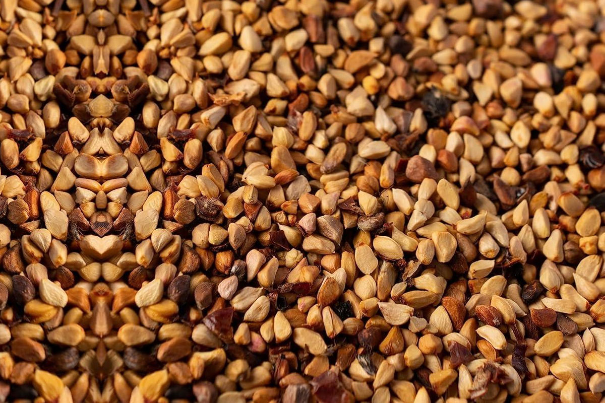 Seeds-RosehipSeeds3