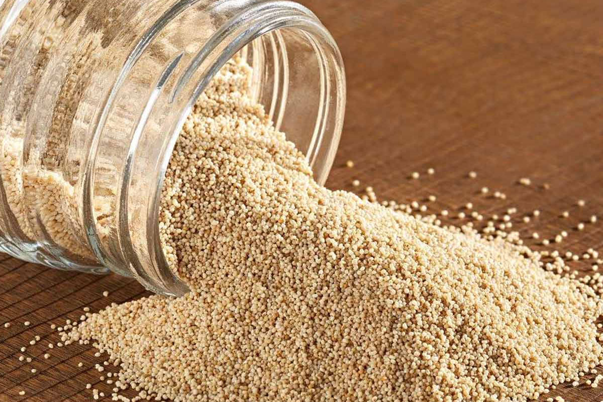 Seeds-WhitePoppySeeds1