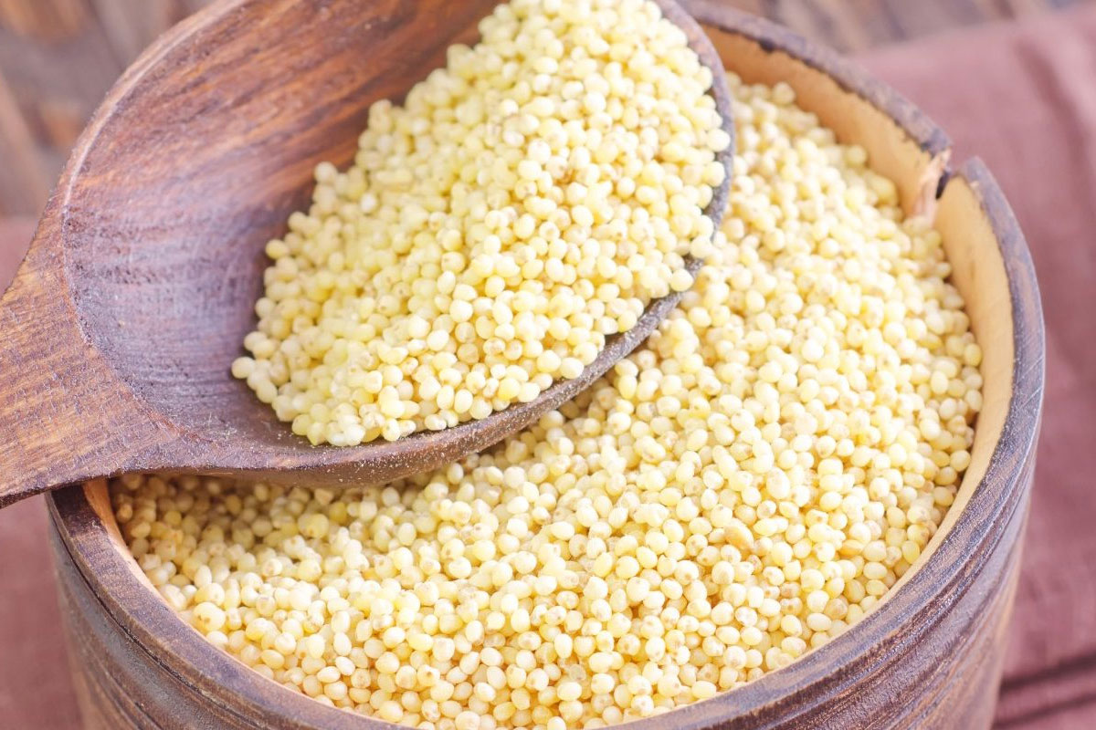 Seeds-WhitePoppySeeds4